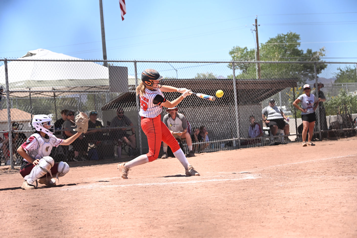 Softball Game Day Packages