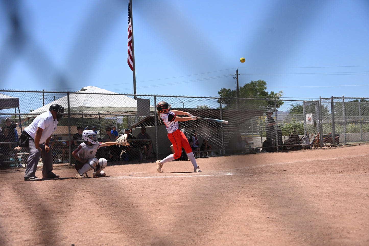 Softball Game Day Packages
