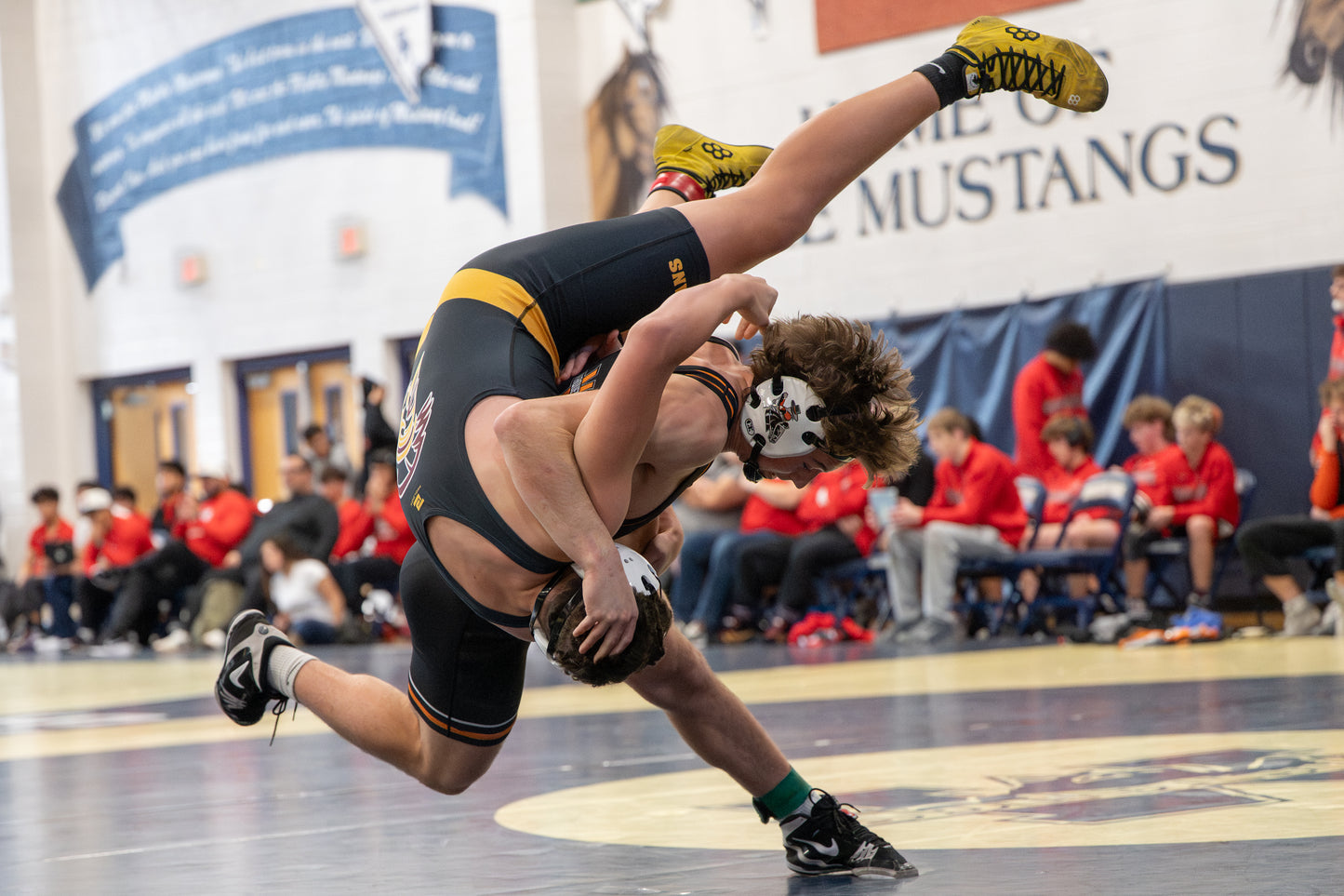 Wrestling Match Package (1 day event)