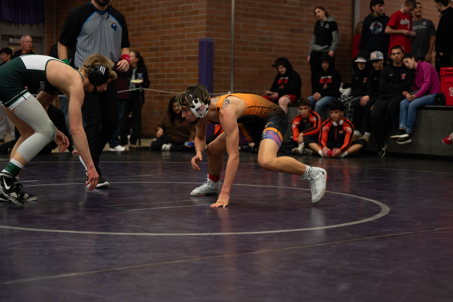 Wrestling Match Package (1 day event)