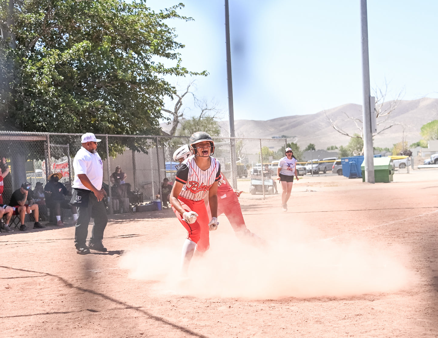 Softball Game Day Packages